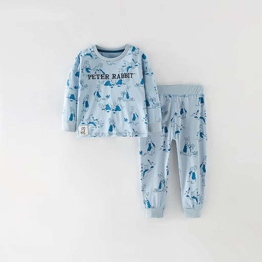 Baby Cartoon Animal Pattern Lettern Print Design Hoodies With Pants Sets