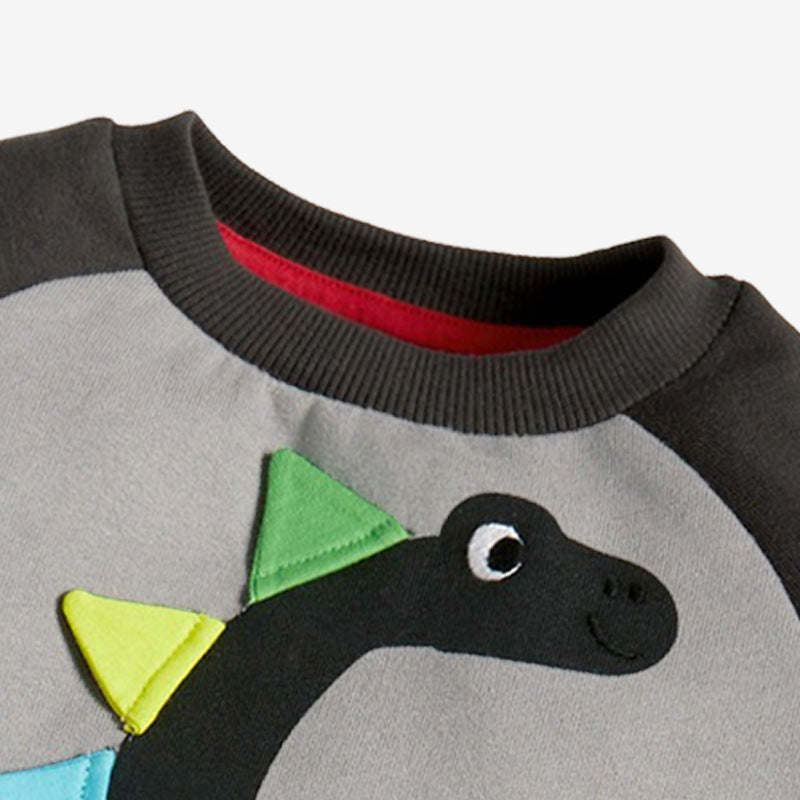 Baby Boy Cartoon Dinosaur Pattern Colorblock Design Hoodies Sets