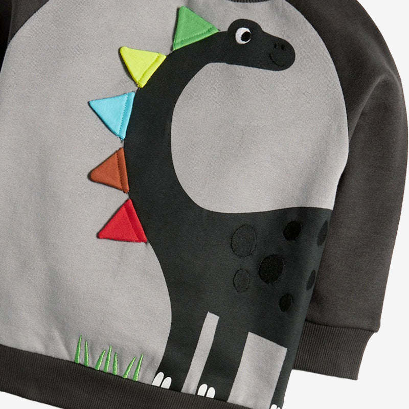 Baby Boy Cartoon Dinosaur Pattern Colorblock Design Hoodies Sets